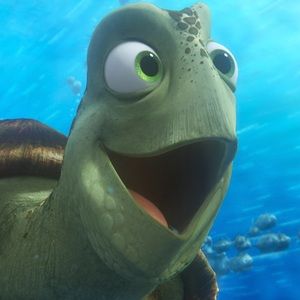 Meet your Posher, Matteo